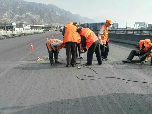 青湖路街道道路桥梁病害治理